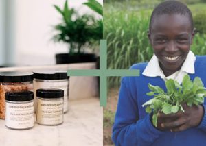 The Commentary Apothecary